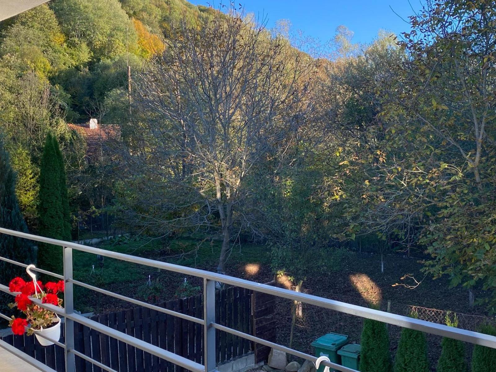 Vila Emma Rîşnov Εξωτερικό φωτογραφία