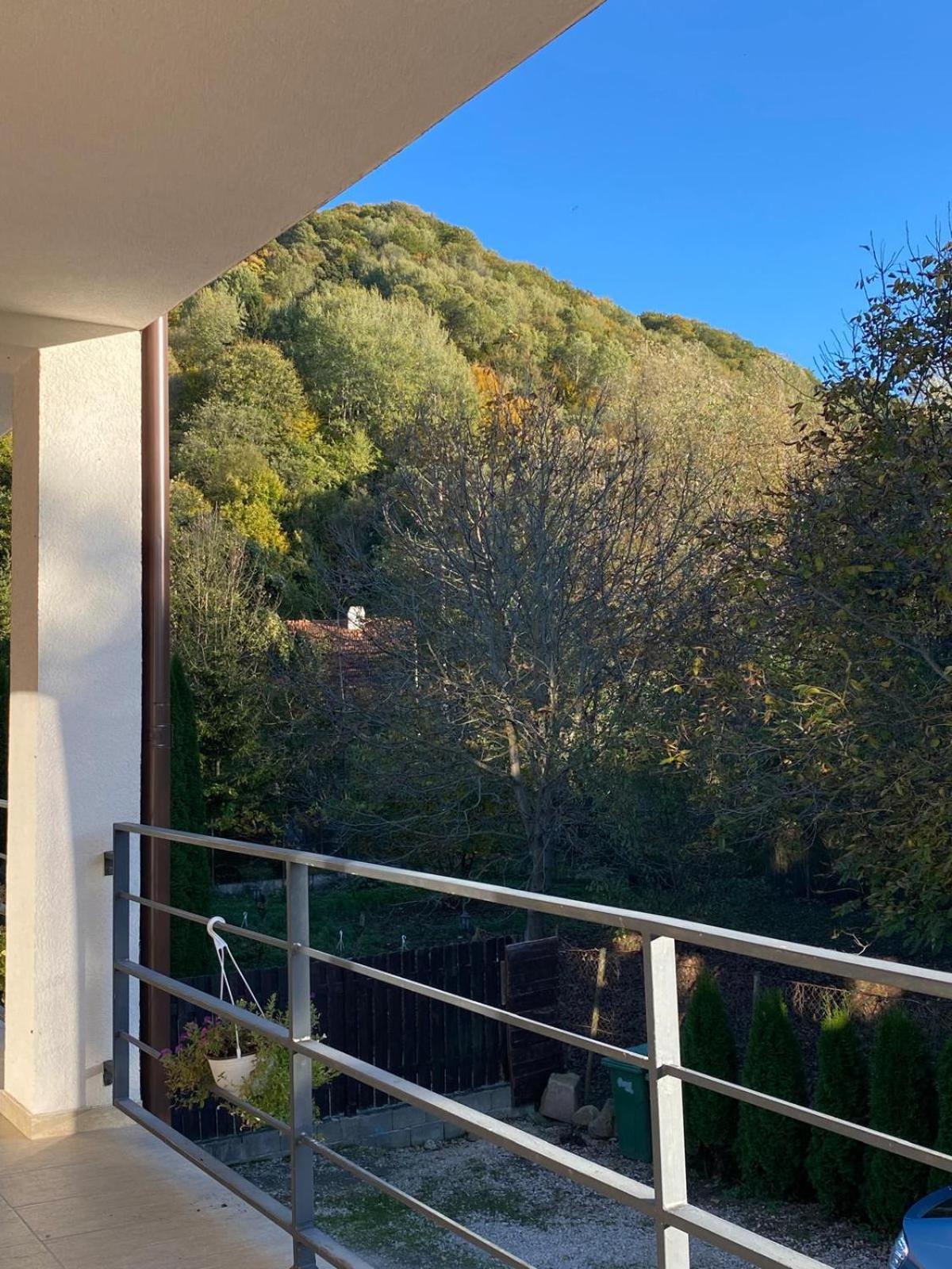 Vila Emma Rîşnov Εξωτερικό φωτογραφία